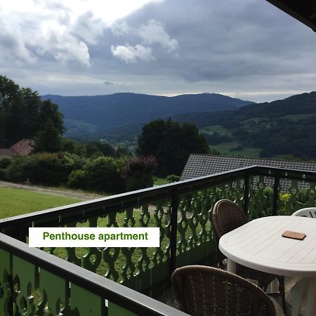 Le Green Chalet Villard-sur-Boege Bagian luar foto