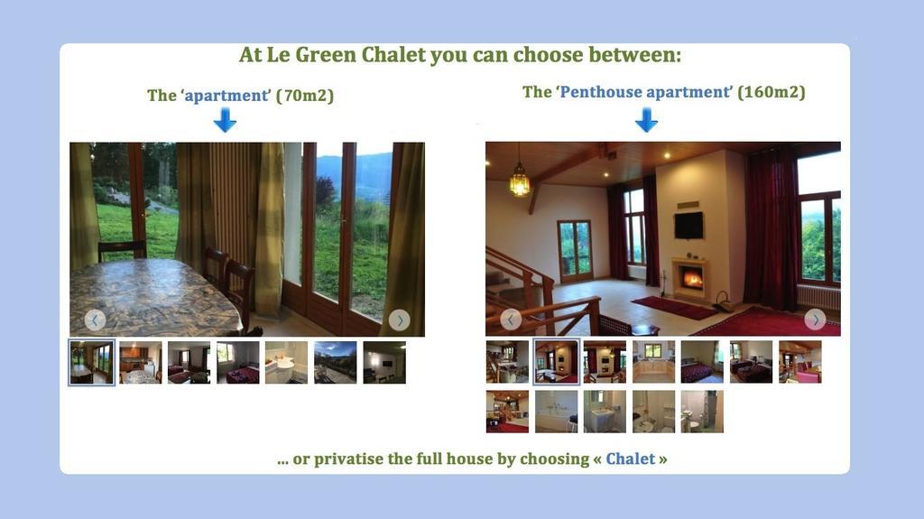 Le Green Chalet Villard-sur-Boege Bagian luar foto