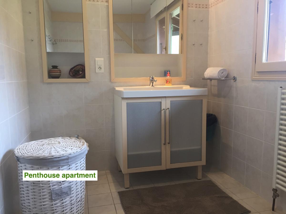 Le Green Chalet Villard-sur-Boege Bagian luar foto