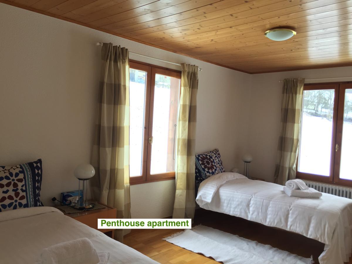 Le Green Chalet Villard-sur-Boege Bagian luar foto
