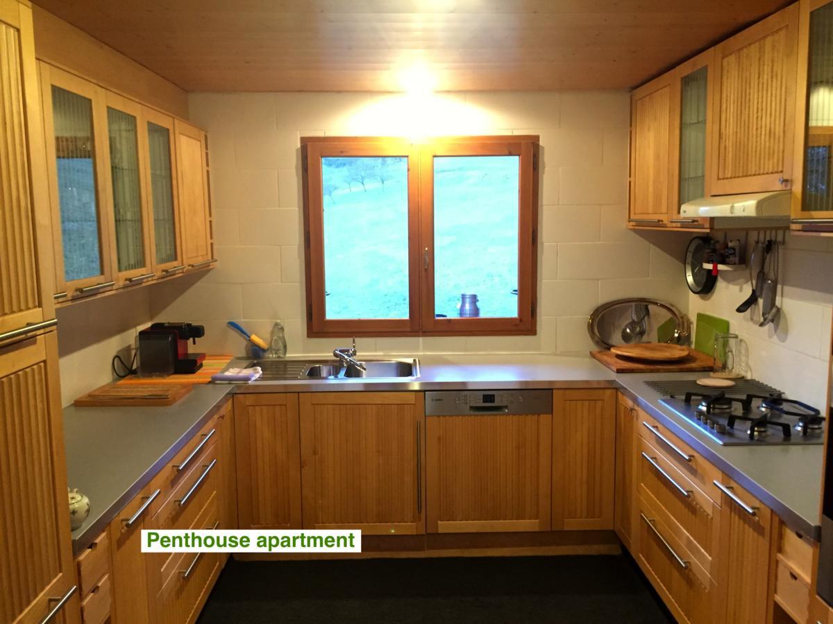 Le Green Chalet Villard-sur-Boege Bagian luar foto