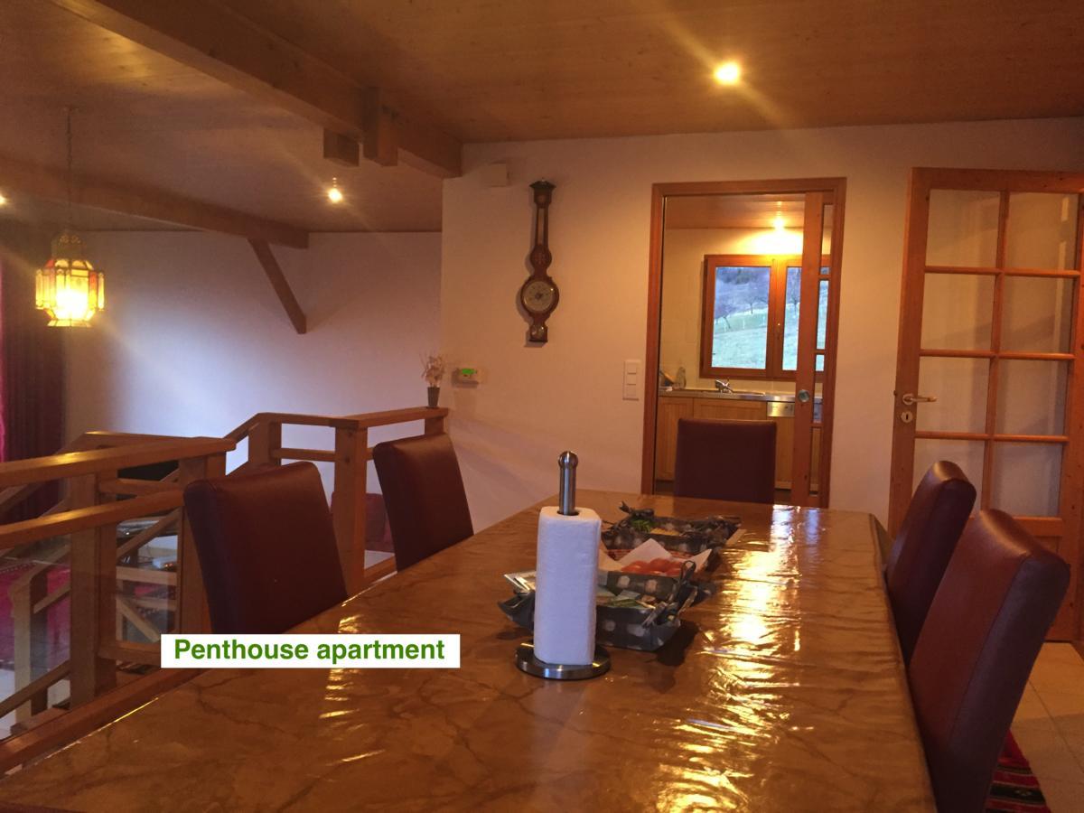 Le Green Chalet Villard-sur-Boege Bagian luar foto