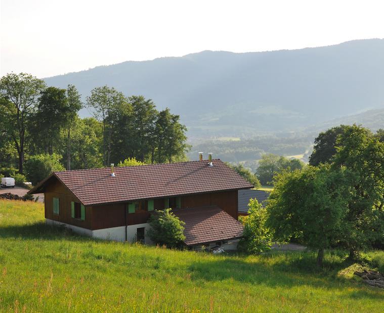 Le Green Chalet Villard-sur-Boege Bagian luar foto