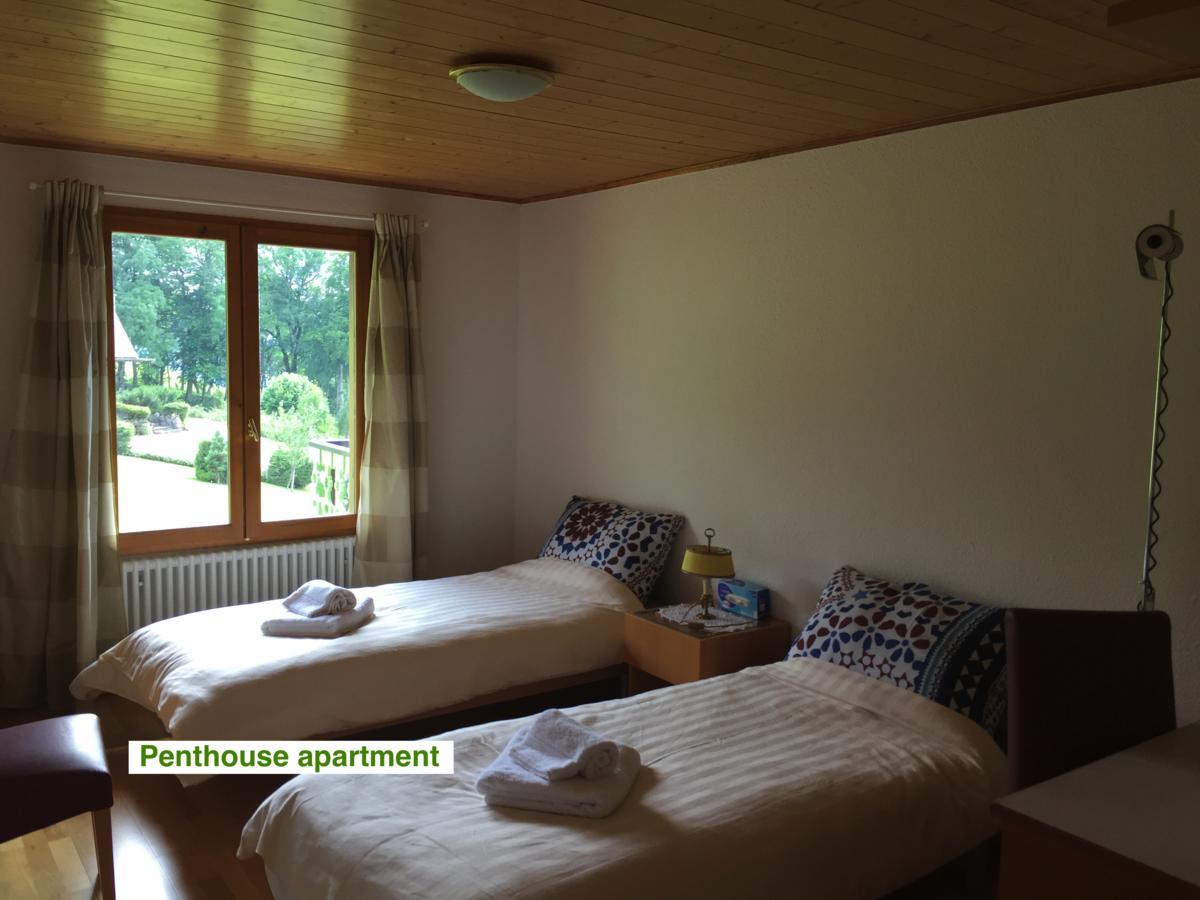 Le Green Chalet Villard-sur-Boege Bagian luar foto