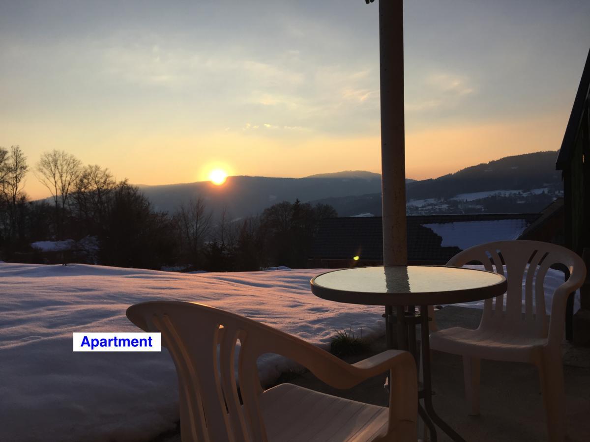 Le Green Chalet Villard-sur-Boege Bagian luar foto