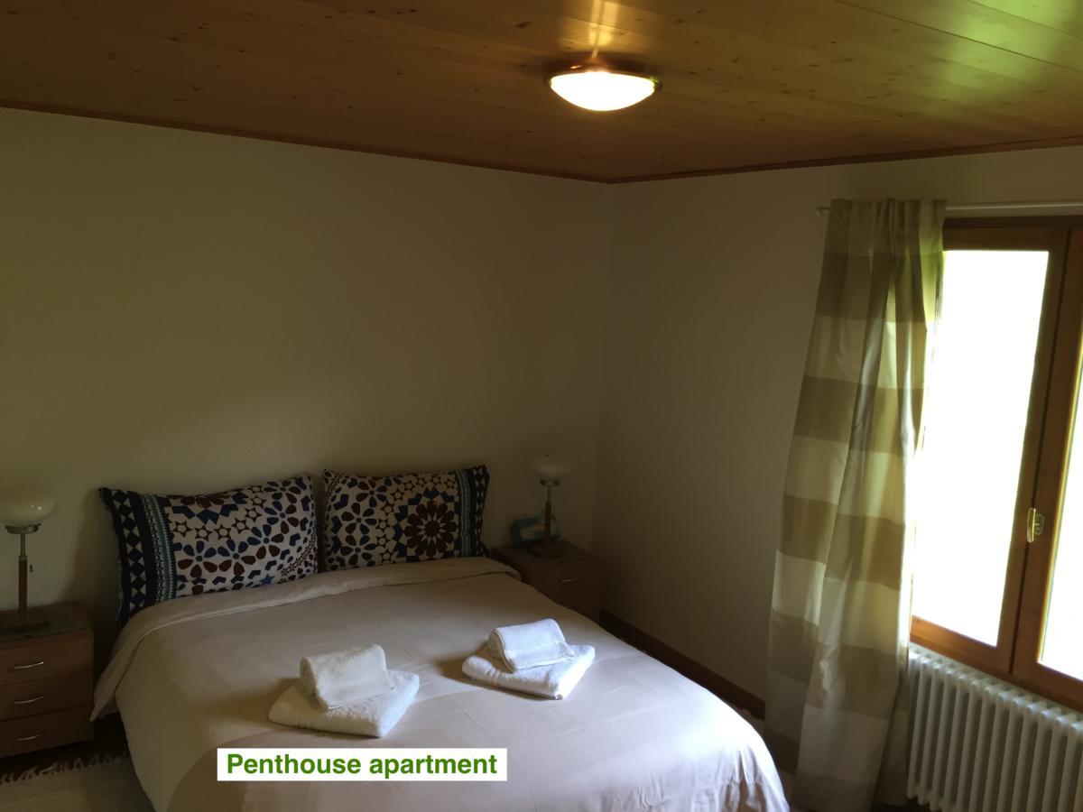 Le Green Chalet Villard-sur-Boege Bagian luar foto