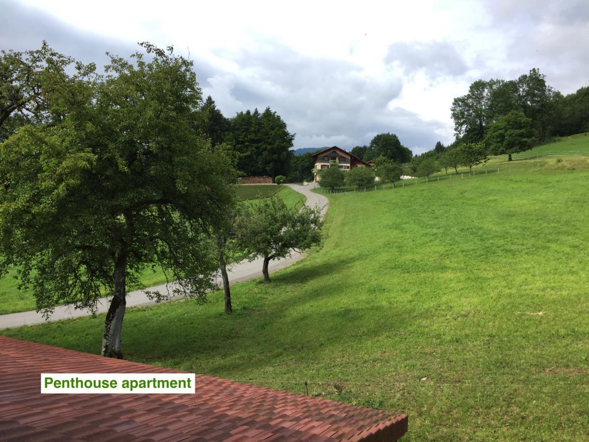 Le Green Chalet Villard-sur-Boege Bagian luar foto