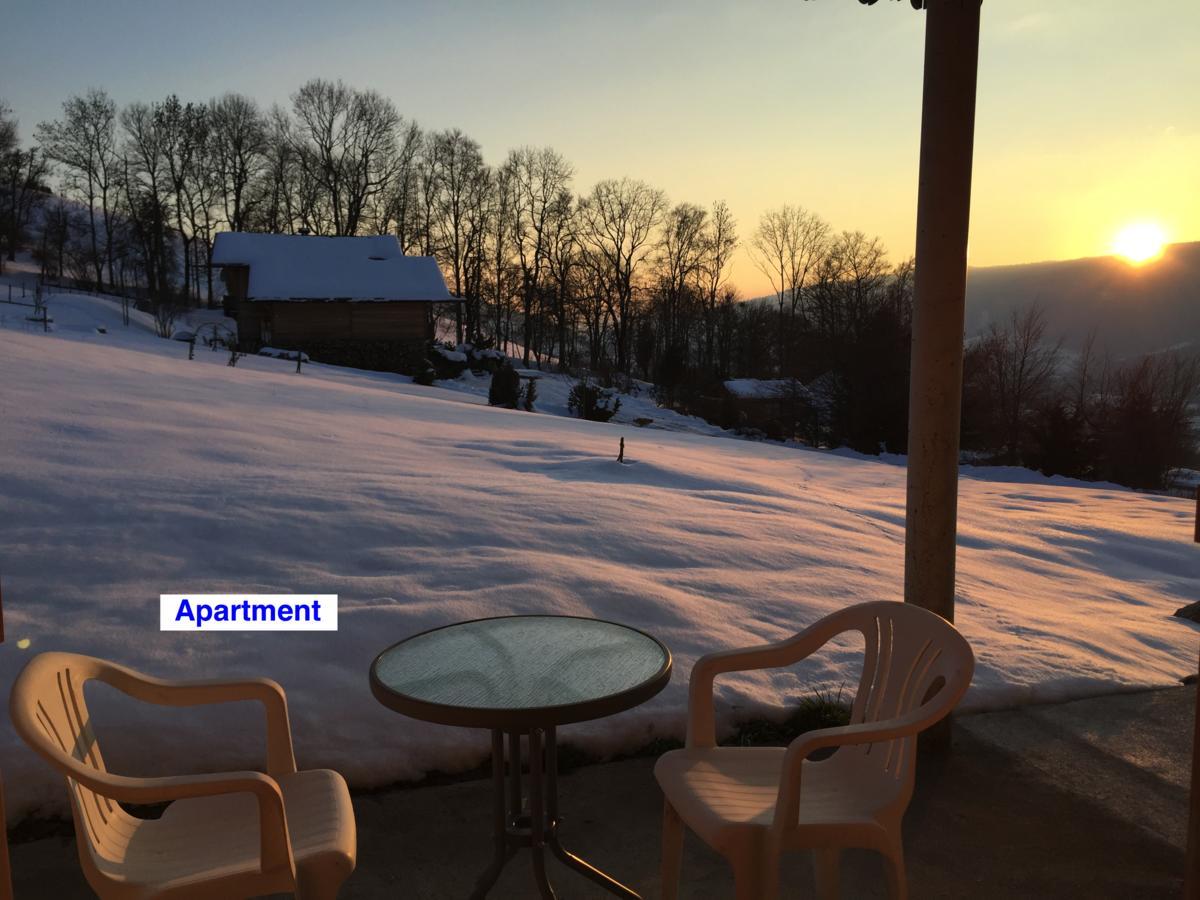 Le Green Chalet Villard-sur-Boege Bagian luar foto